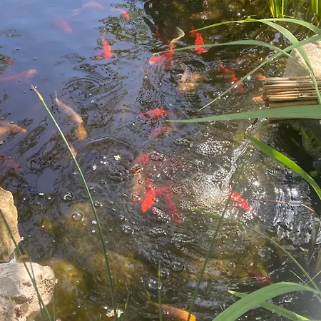 Апартаменты Lelle-kert 02 *