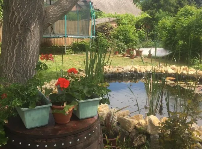 Lelle-kert 02 בלטונללה