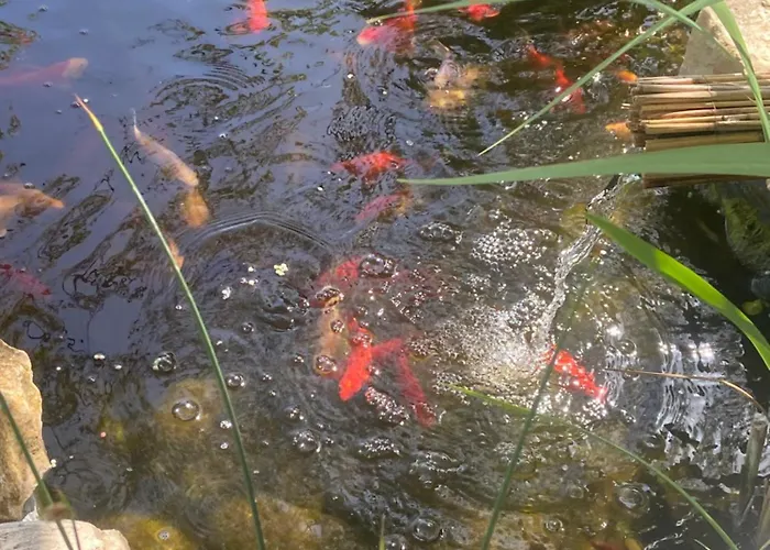 דירה Lelle-kert 02 *