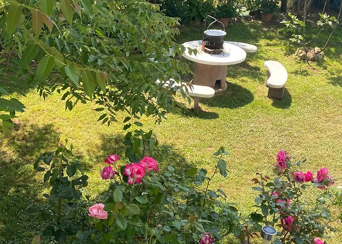 Lelle-kert 02 בלטונללה